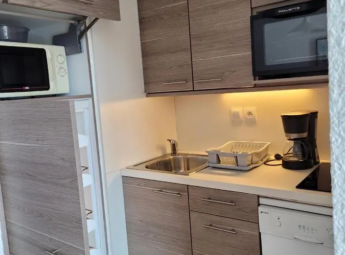 Pied Des Pistes Et Commerces *