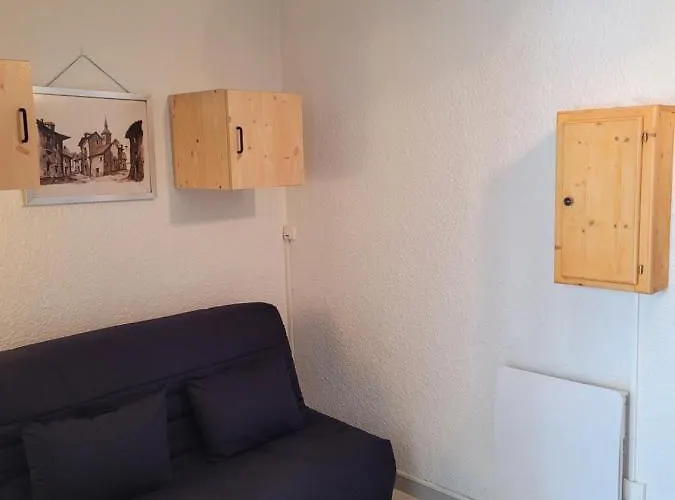 Pied Des Pistes Et Commerces Apartament *