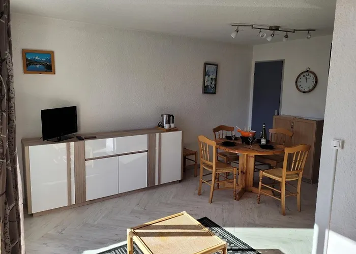 Pied Des Pistes Et Commerces Apartament